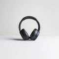 wireearplug